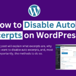 How to Disable Auto Excerpts on WordPress